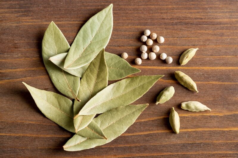 Bay leaf
